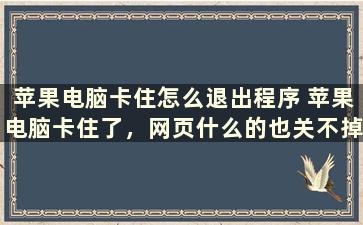 苹果电脑卡住怎么退出程序 苹果电脑卡住了，网页什么的也关不掉，怎么退出所有程序呢